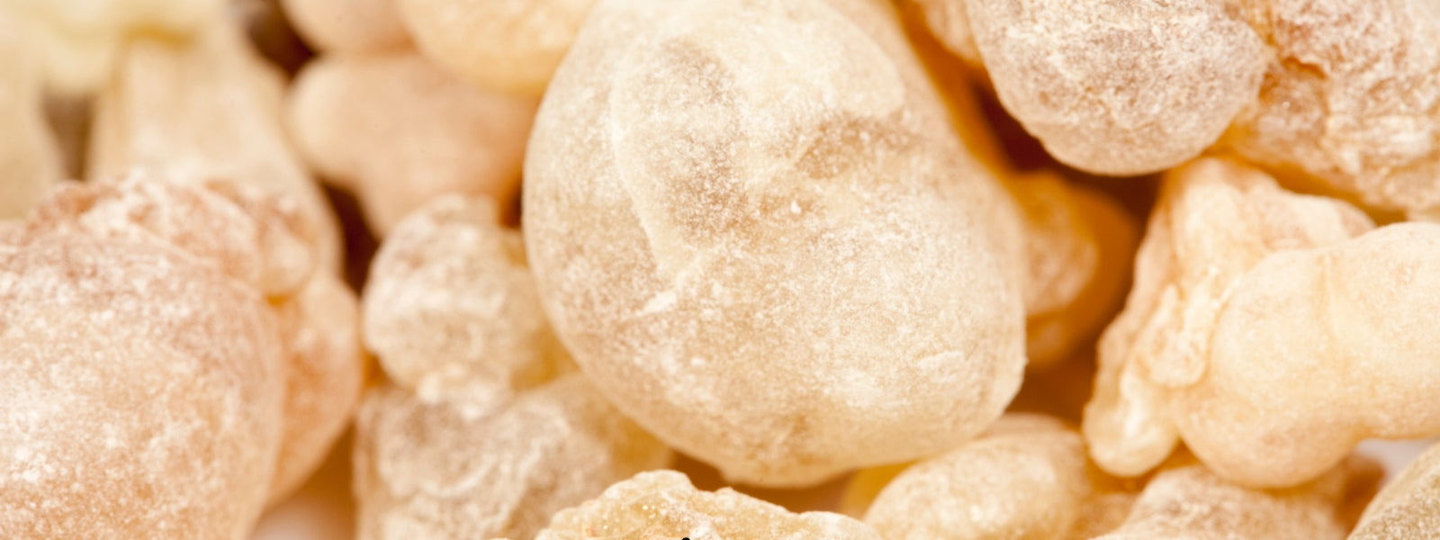 Magi Frankincense