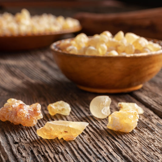 Omani Frankincense – For Incense