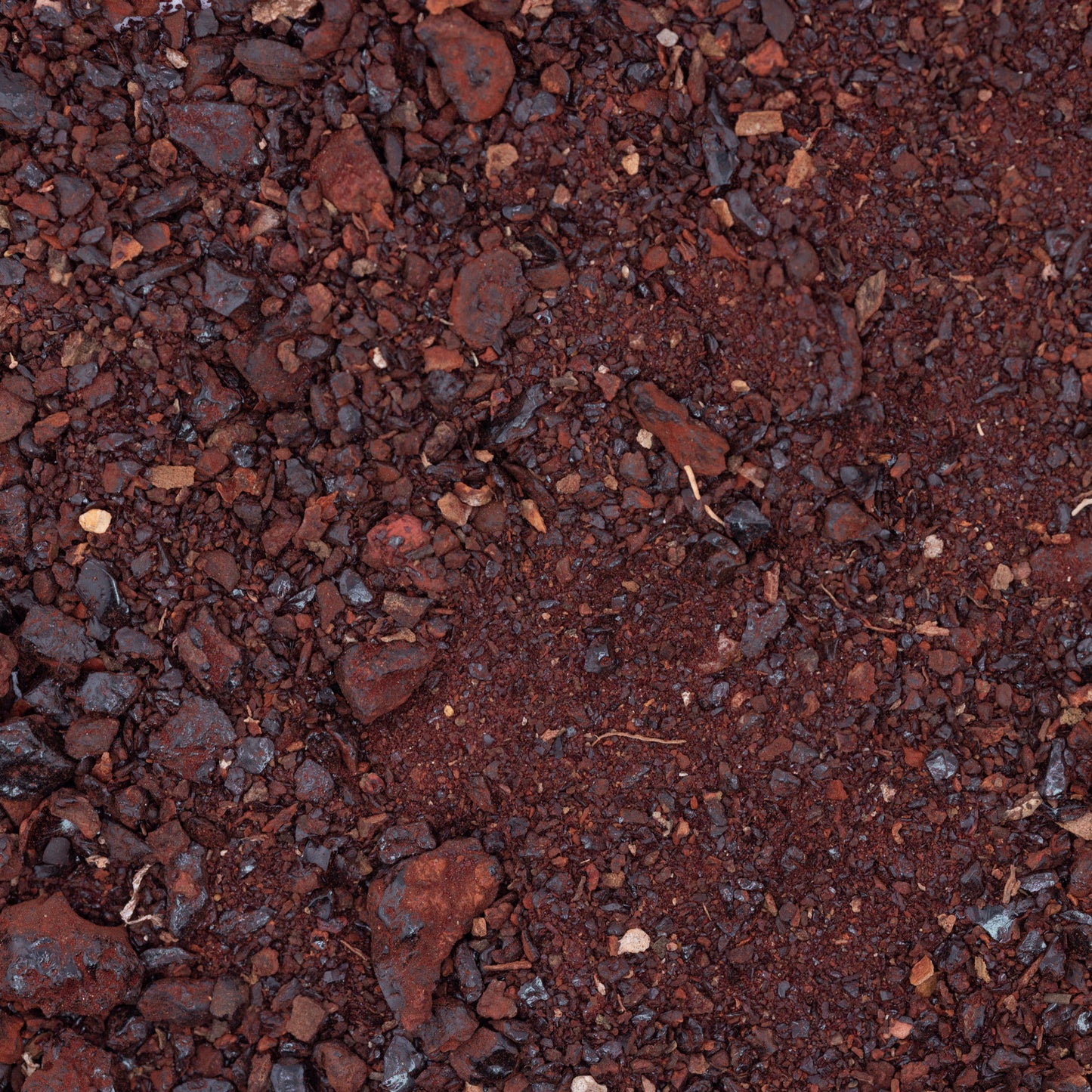 100% Wild Organic Dragon’s Blood from The Island Of Socotra