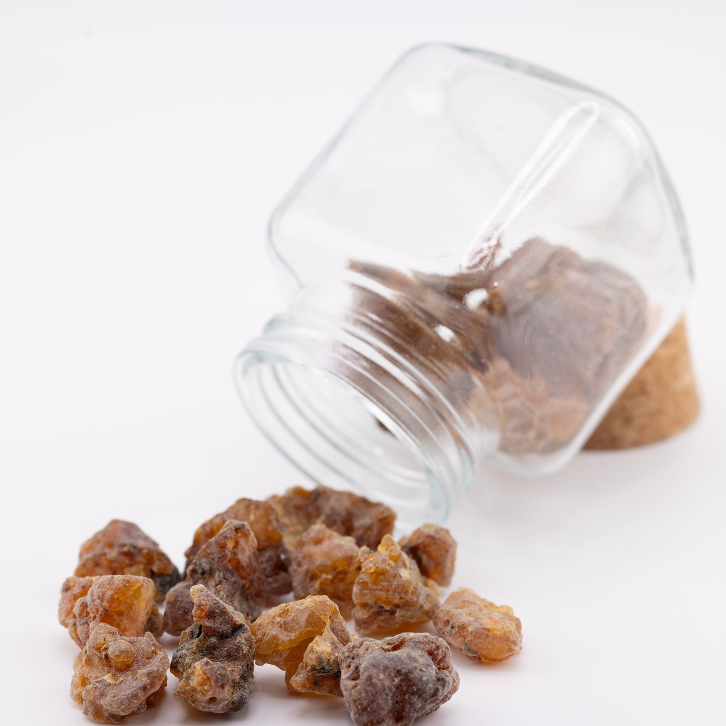 Wild Organic Mountain top Myrrh Resin - Commiphora myrrha