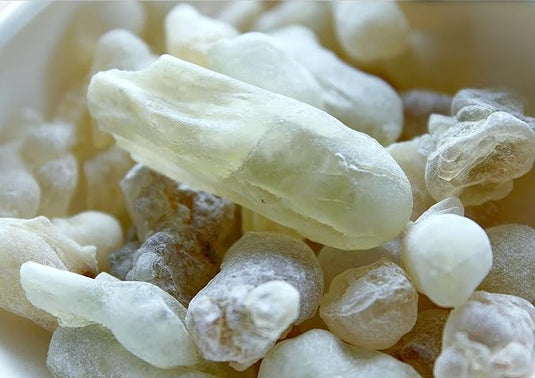 Magi Frankincense