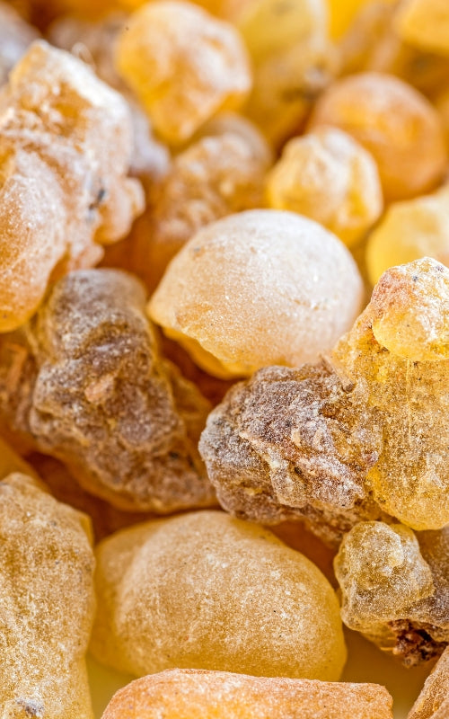 Magi Frankincense 