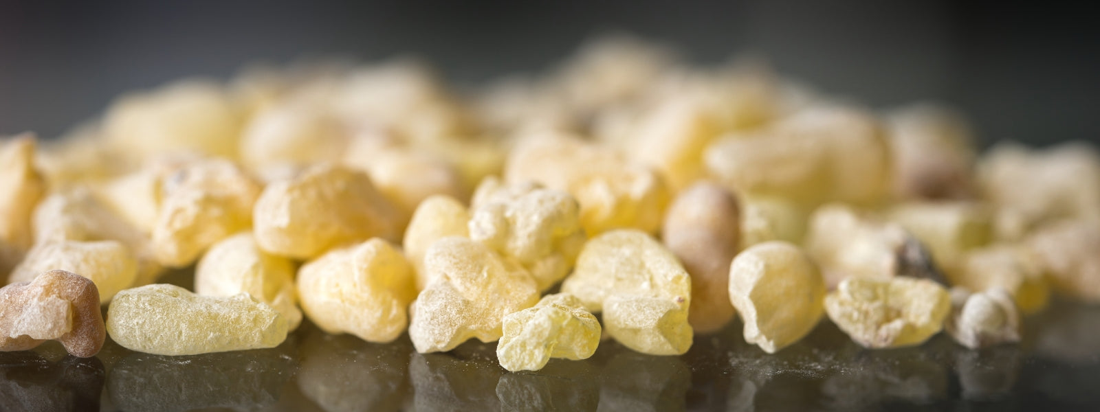 Magi Frankincense 
