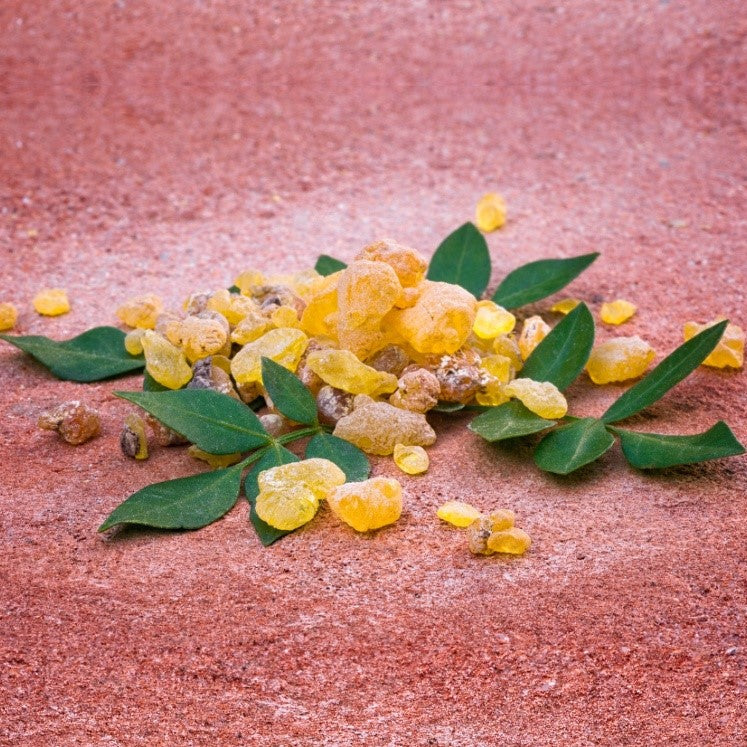 Omani Frankincense – For Incense